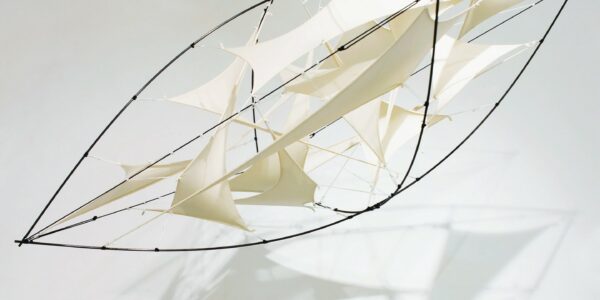 SCULPTURES / Luftkissen / Bild 1